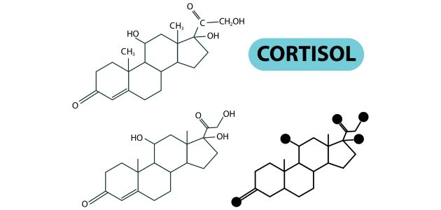 علاج ارتفاع الكورتيزول في الجسم
